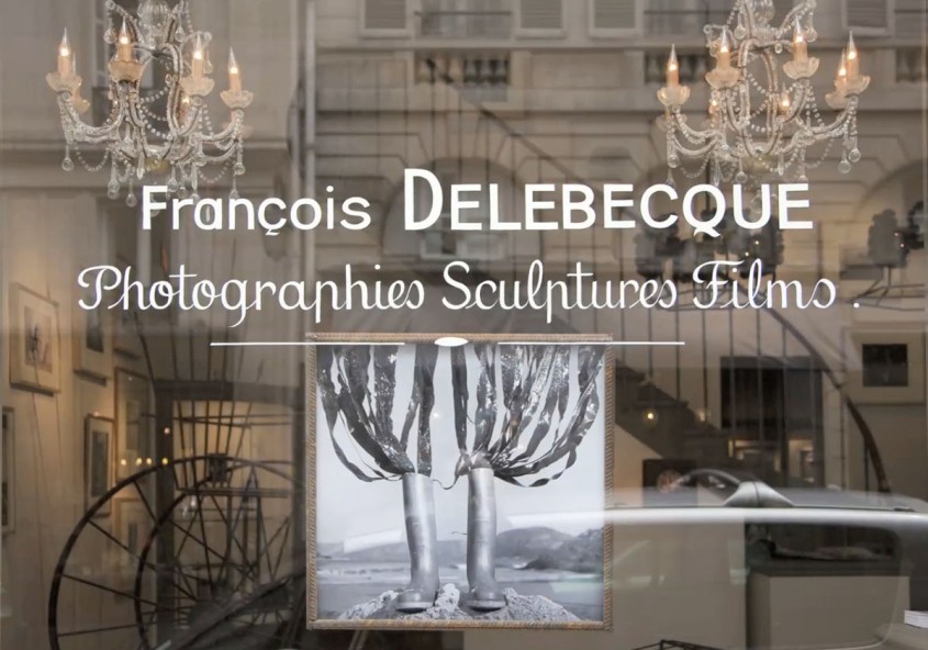 François Delebecque, Rétrospective de printemps, Galerie Marion Held Javal