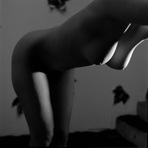 François Delebecque © , Nus noirs, 1999-2003