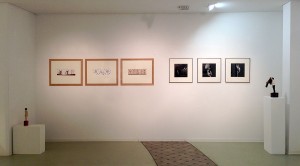 François Delebecque, Exposition "Human Phantasy", Galerie STP (Greifswald, Allemagne)