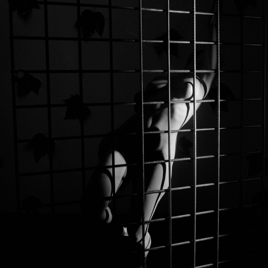 François Delebecque © , Nus noirs, 1999-2003