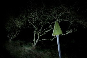 François Delebecque © , Nocturnes végétales, 2011-2015