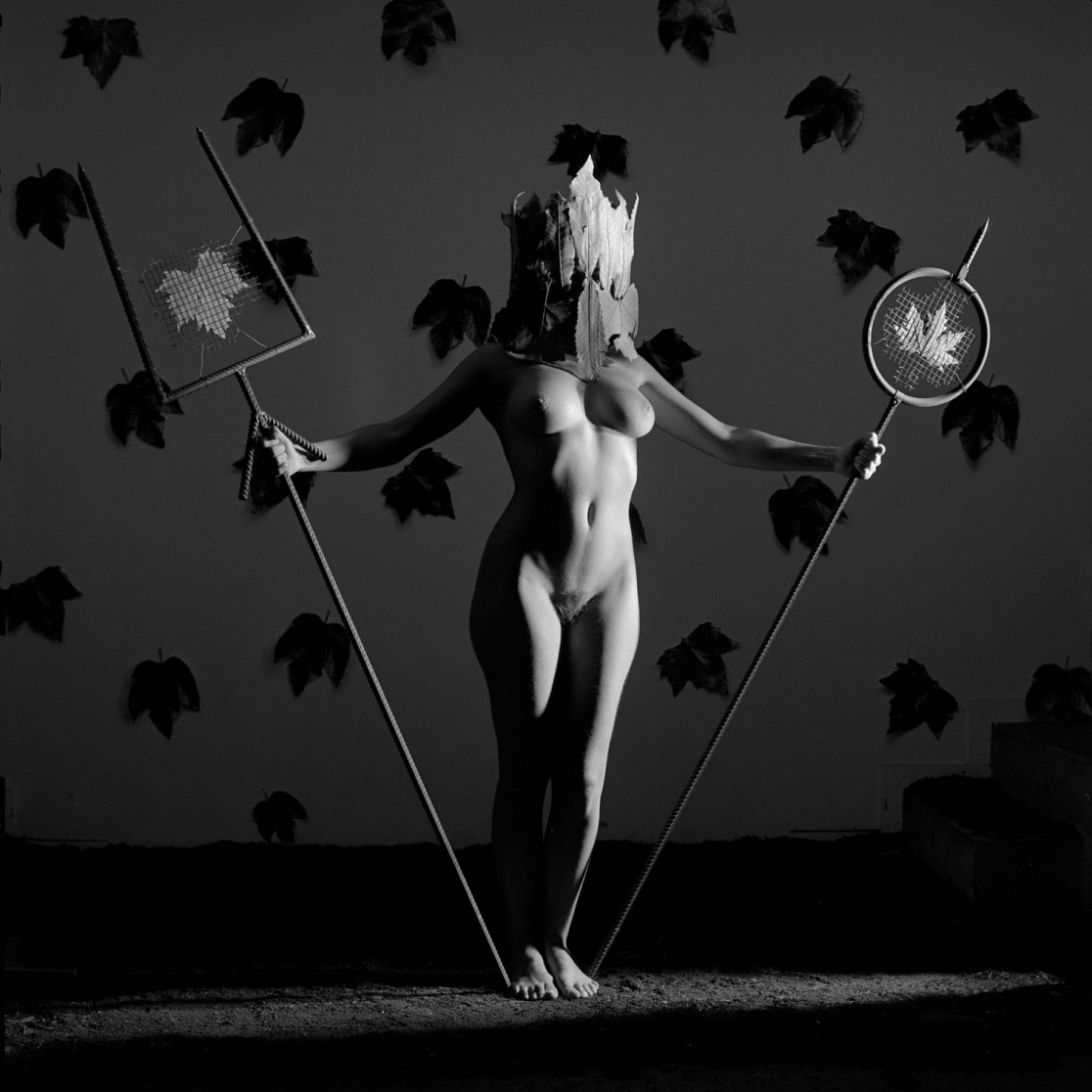 François Delebecque © , Nus noirs, 1999-2003