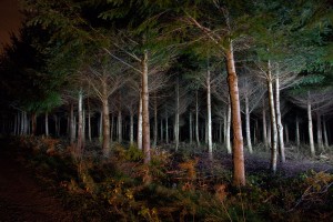 François Delebecque © , Nocturnes végétales, 2011-2015