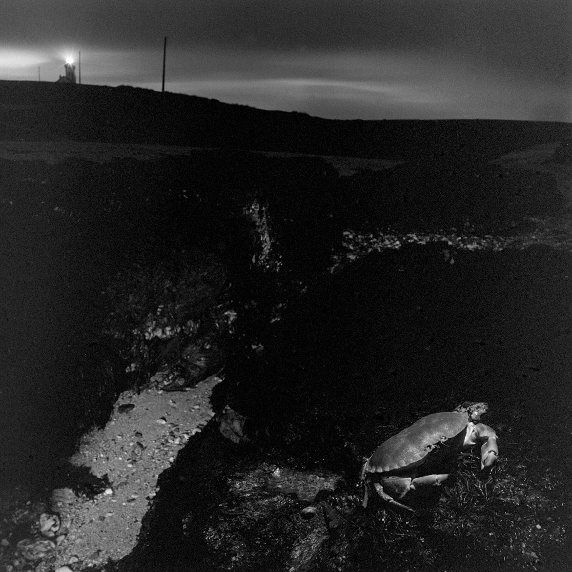 François Delebecque © , Rêve de plage, 1985