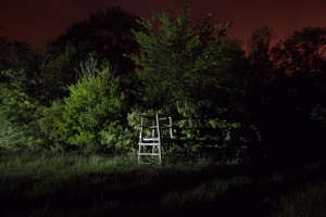 François Delebecque © , Nocturnes végétales, 2011-2015