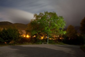 François Delebecque © , Nocturnes végétales, 2011-2015