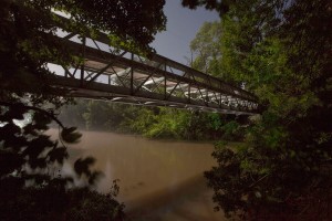 François Delebecque © , Nocturnes végétales, 2011-2015