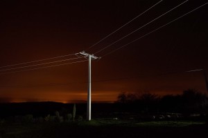 François Delebecque © , Nocturnes végétales, 2011-2015