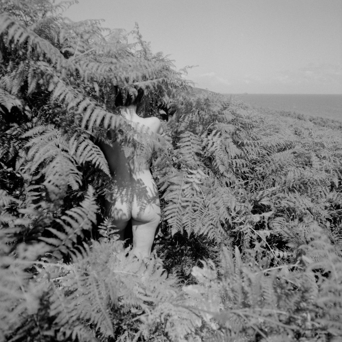 François Delebecque © , Nus d'été, 2008