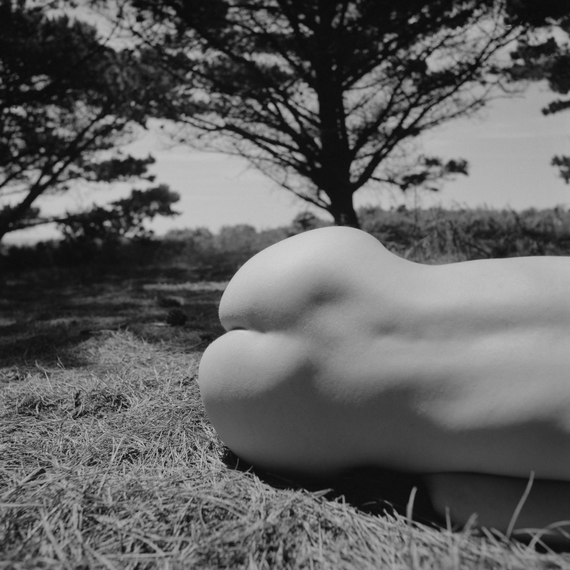 François Delebecque © , Nus d'été, 2008