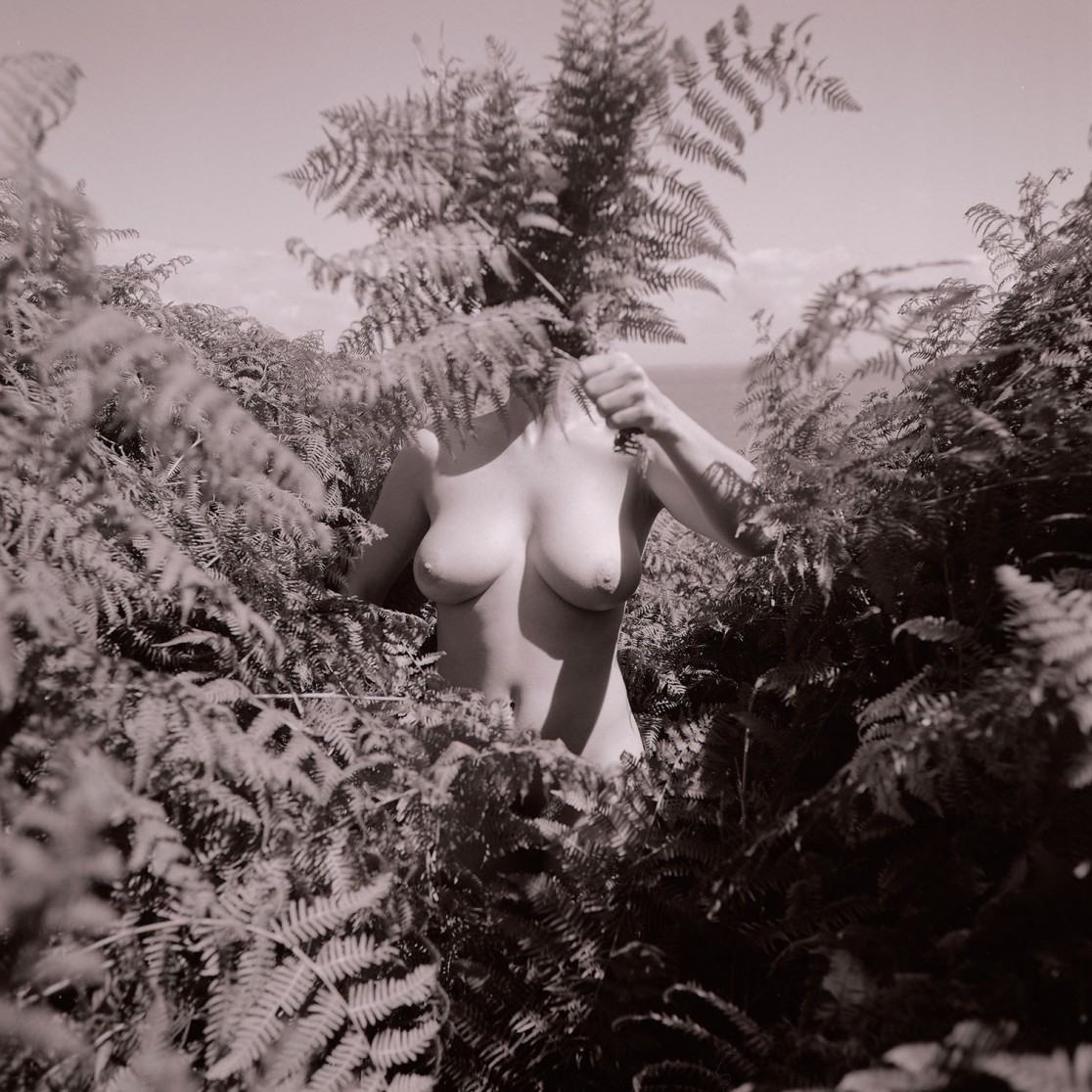 François Delebecque © , Nus d'été, 2008