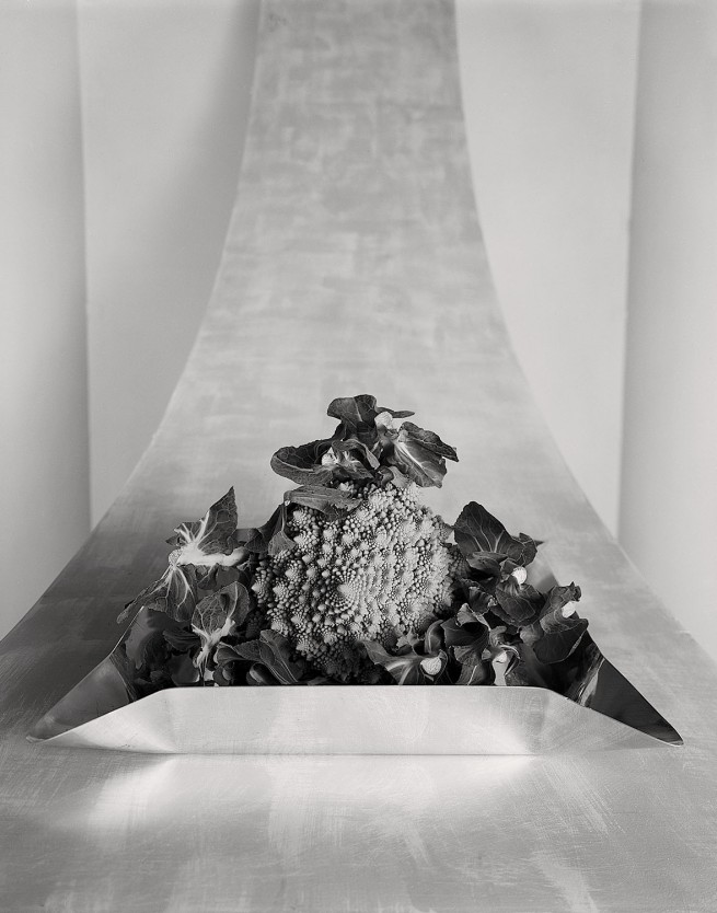 François Delebecque © , Légumes, 1984-1987