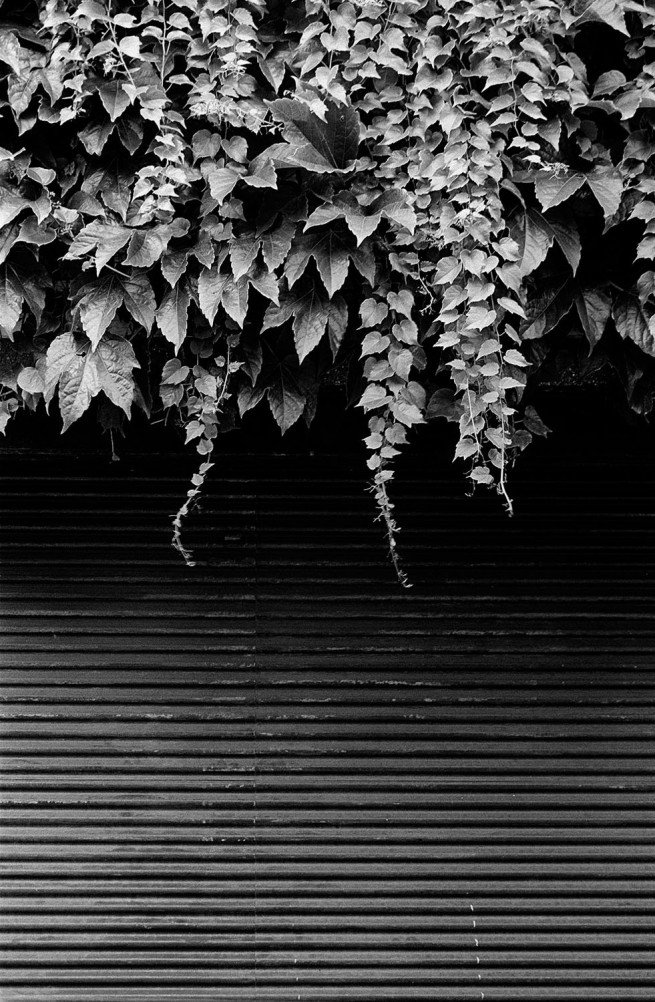 François Delebecque © , Natures souples, 1979-1989