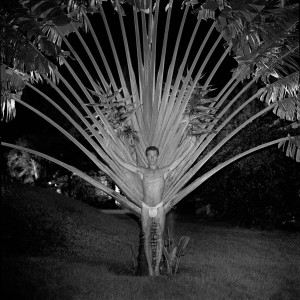 François Delebecque © , Natures Souples, 1979-1989