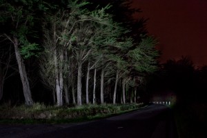 François Delebecque © , Nocturnes végétales, 2011-2015