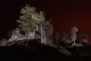 François Delebecque © , Nocturnes végétales, 2011-2015