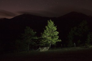 François Delebecque © , Nocturnes végétales, 2011-2015