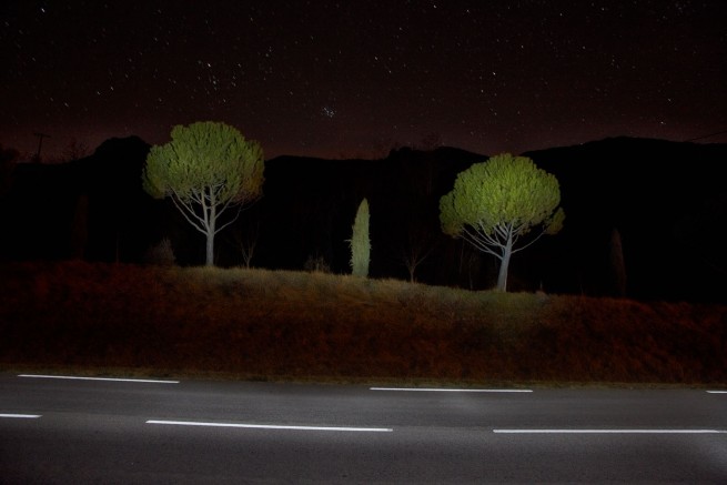 François Delebecque © , Nocturnes végétales, 2011-2015