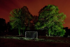 François Delebecque © , Nocturnes végétales, 2011-2015