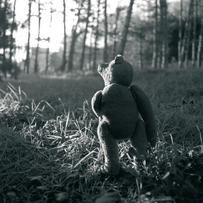 François Delebecque © , Les songes de l'ours, 2001-2003