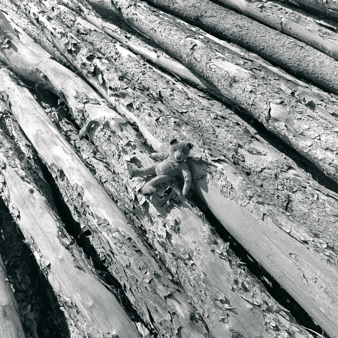 François Delebecque © , Les songes de l'ours, 2001-2003