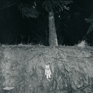 François Delebecque © , Les songes de l'ours, 2001-2003