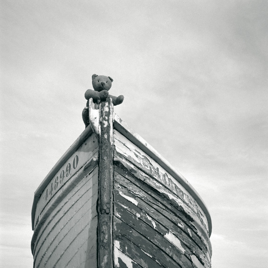 François Delebecque © , Les songes de l'ours, 2001-2003