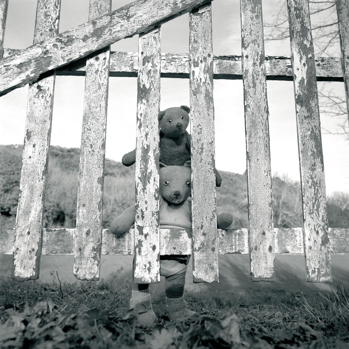 François Delebecque © , Les songes de l'ours, 2001-2003