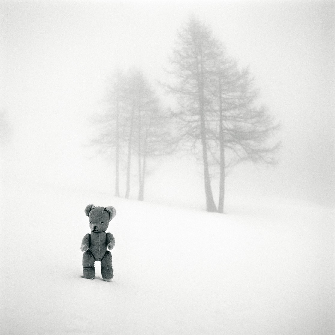 François Delebecque © , Les songes de l'ours, 2001-2003