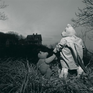 François Delebecque © , Les songes de l'ours, 2001-2003
