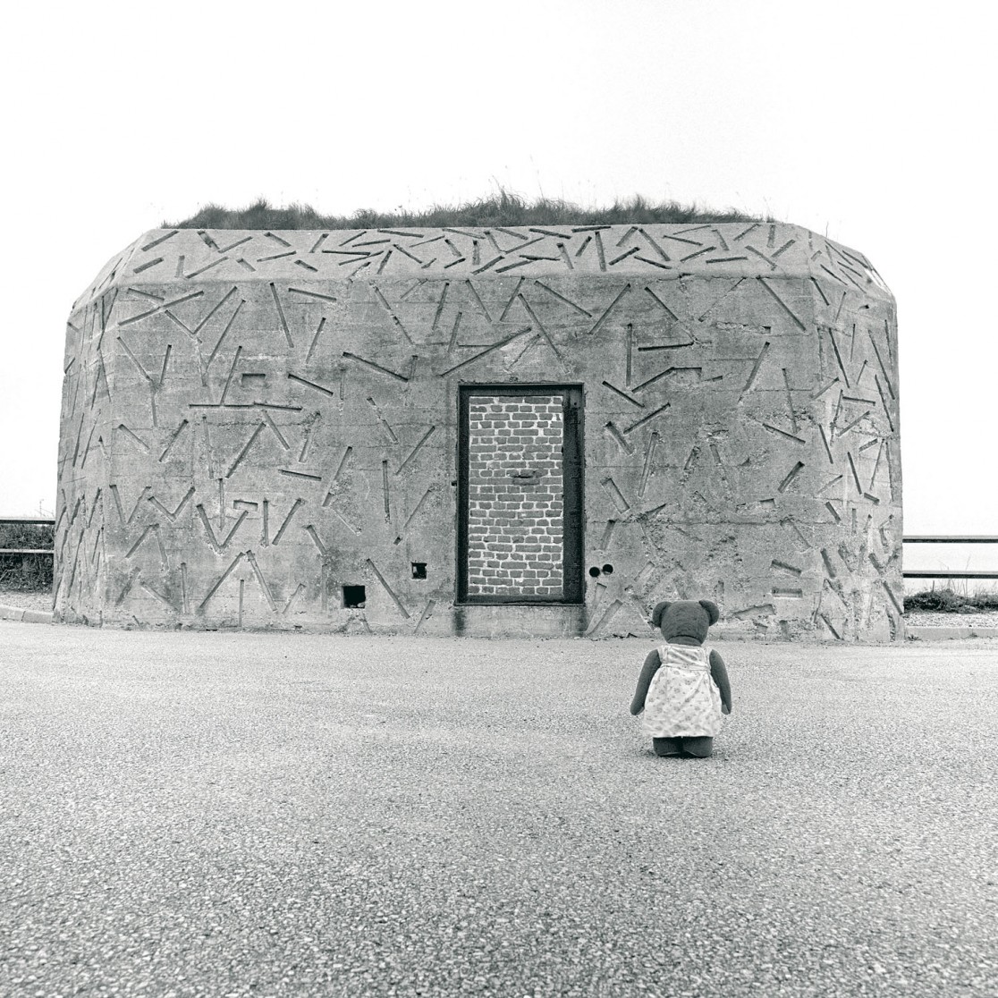 François Delebecque © , Les songes de l'ours, 2001-2003