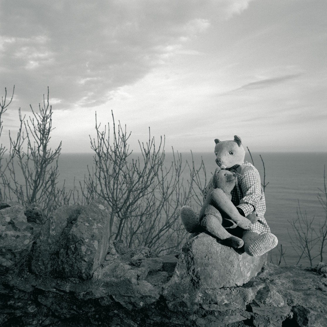 François Delebecque © , Les songes de l'ours, 2001-2003