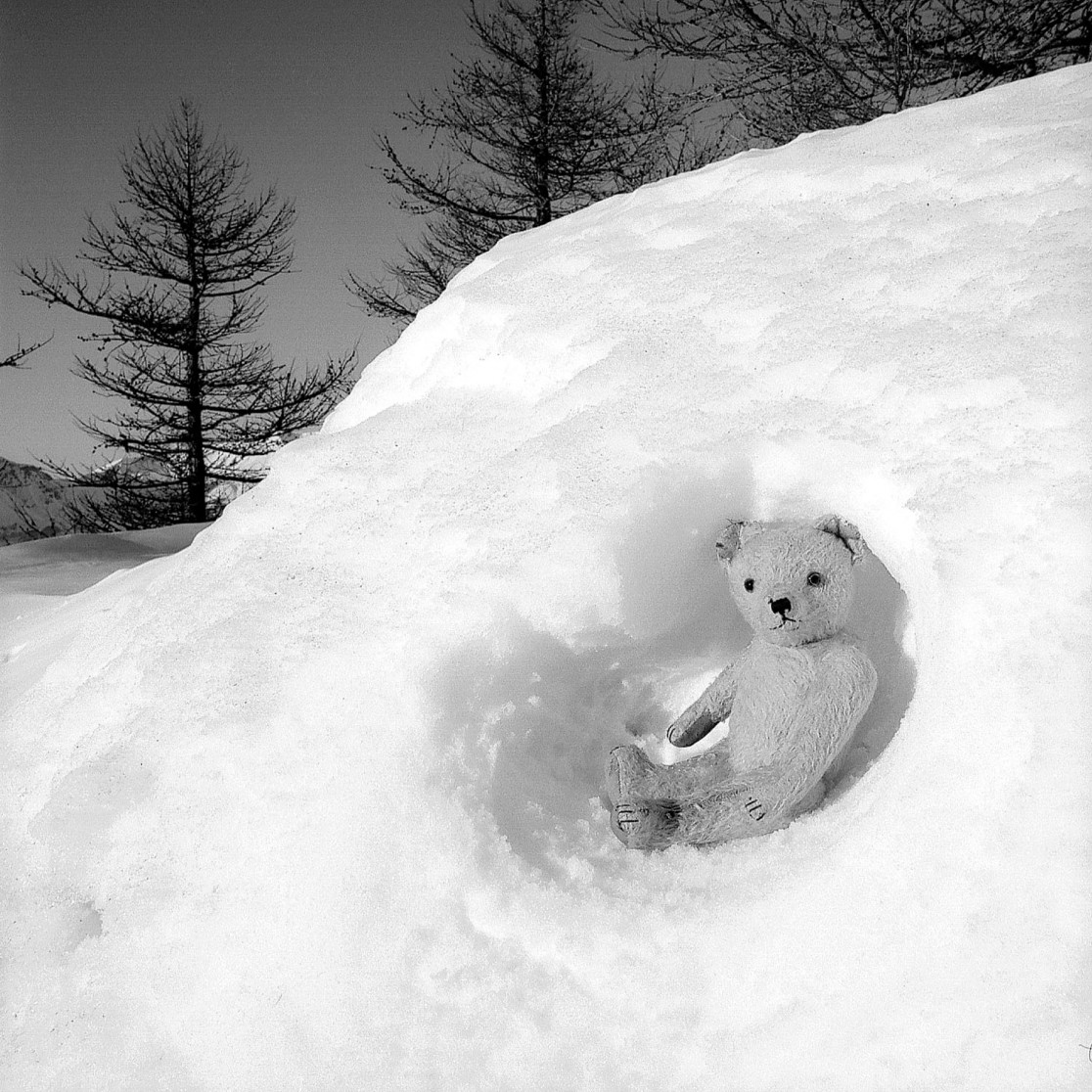 François Delebecque © , Les songes de l'ours, 2001-2003
