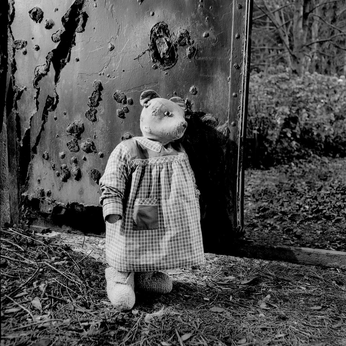 François Delebecque © , Les songes de l'ours, 2001-2003