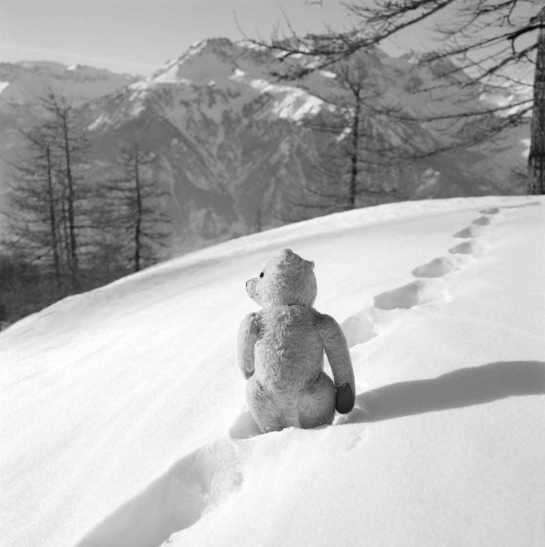 François Delebecque © , Les songes de l'ours, 2001-2003