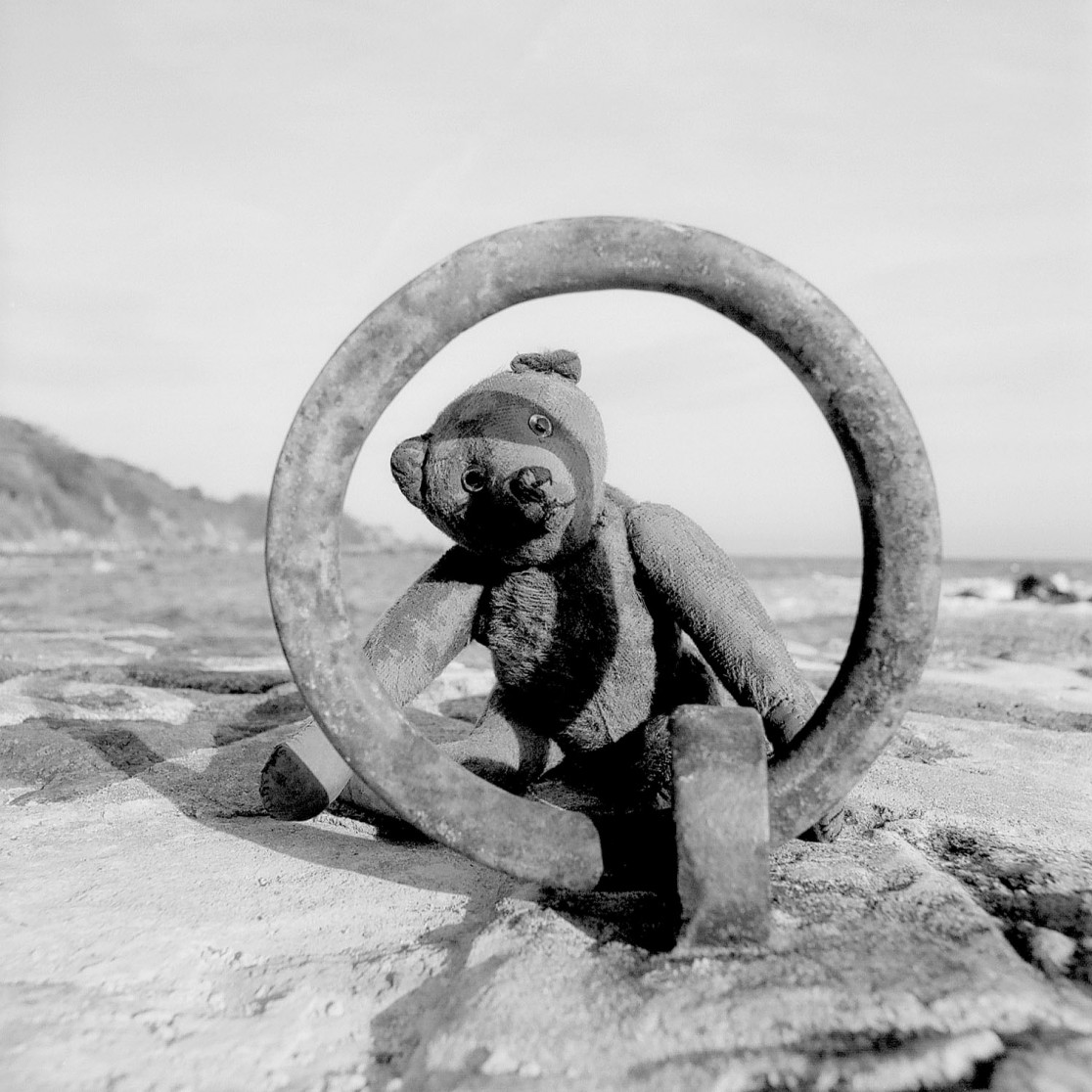 François Delebecque © , Les songes de l'ours, 2001-2003